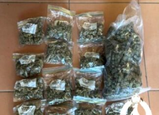 Dope, cash seized in drug raid