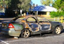 Police investigate early morning vehicle fire
