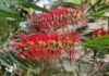 A bottle brush for all locations