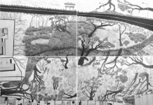 New exhibition explores landscapes and identity of Mparntwe