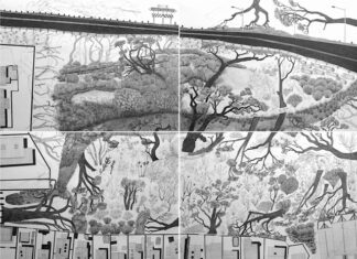 New exhibition explores landscapes and identity of Mparntwe