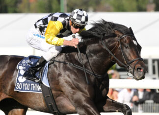 Race for their dream career