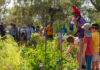Arid zone program for Alice