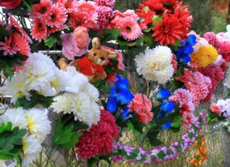 Honouring Kumanjayi Little Baby